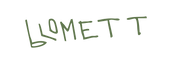 blomett - Home